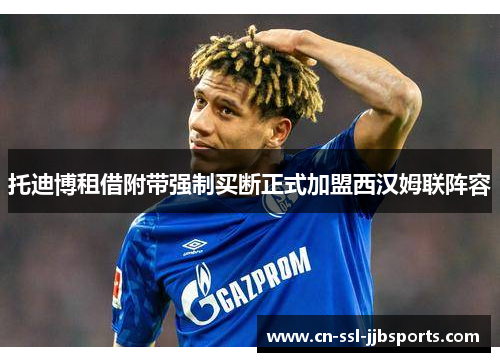 托迪博租借附带强制买断正式加盟西汉姆联阵容